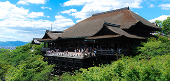 夜まで着物が着たい方！