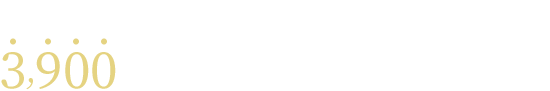 期間限定で下記のプランが全て3,900円（税抜）でご利用いただけます